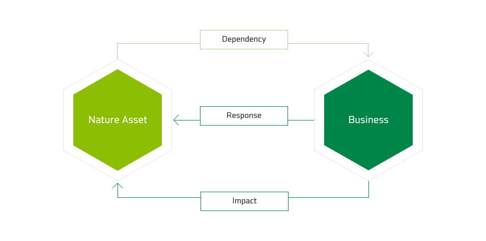 Concepts of Dependency and Impact