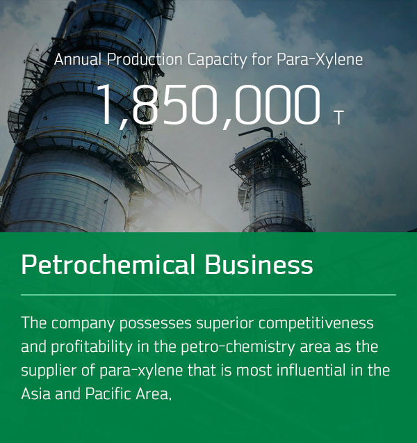 Annual Production Capacity for Para-Xylene 1,800,000 T Petrochemical Business The company possesses superior competitiveness and profitability in the petro-chemistry area as the supplier of para-xylene that is most influential in the Asia and Pacific Area.