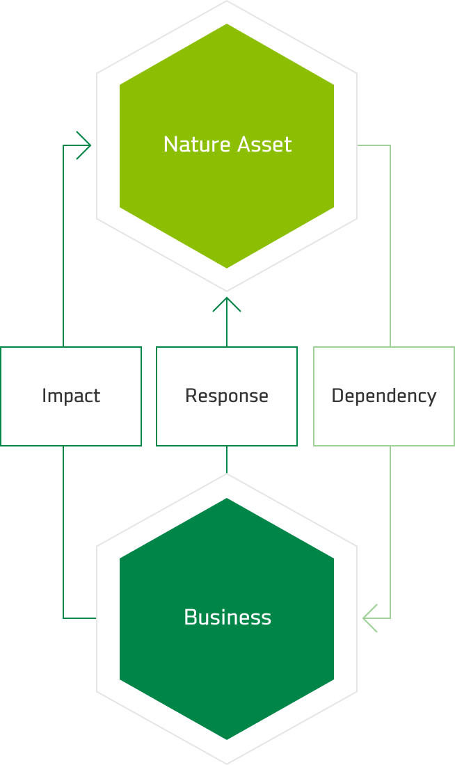 Concepts of Dependency and Impact