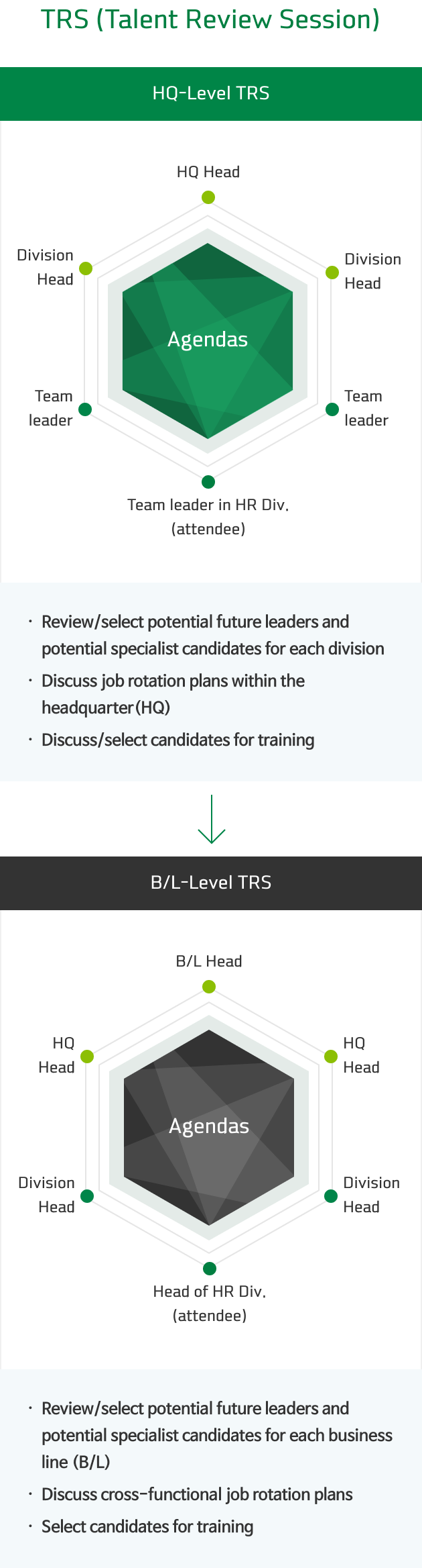 TRS (Talent Review Session)