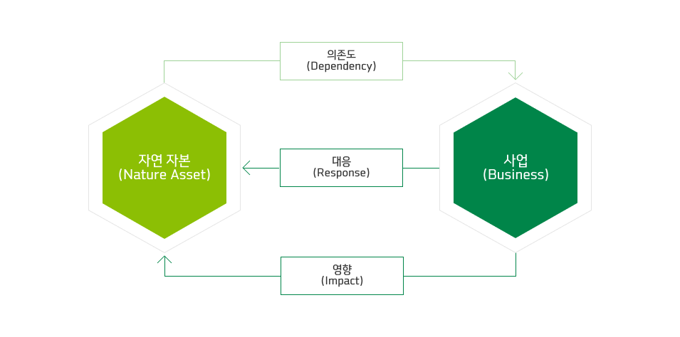 의존도 및 영향의 개념