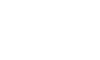 Commercial Excellence & Synergy